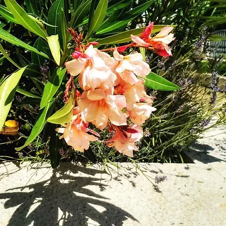 Appartement - Sibenik Riviera 36429