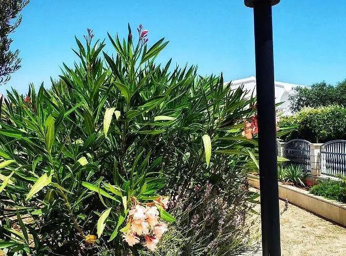 - Sibenik Riviera 36429